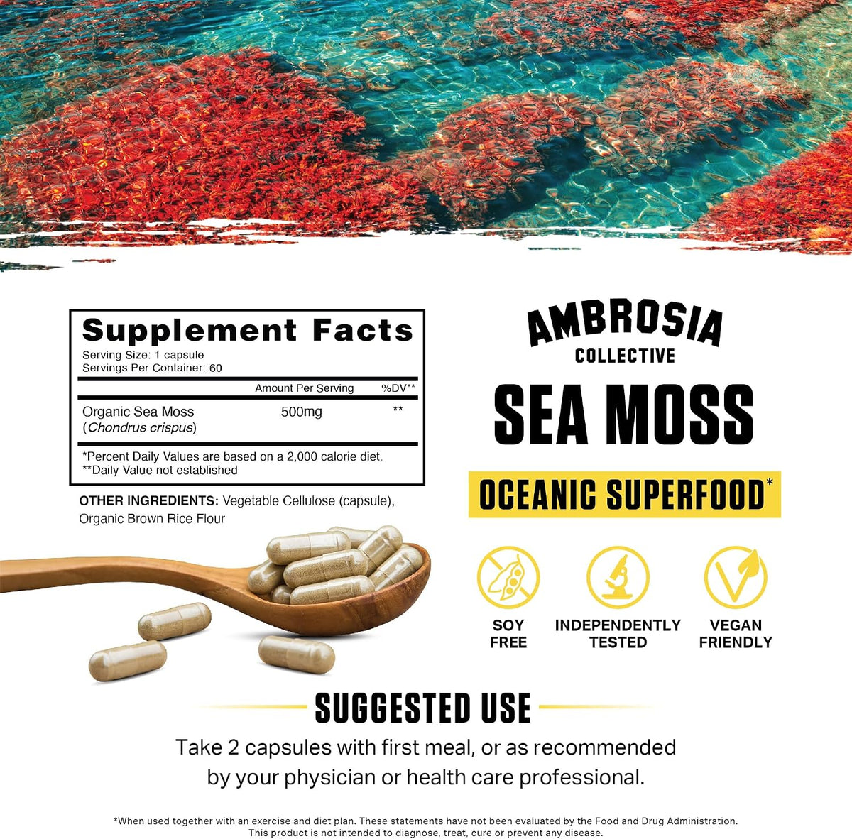 Ambrosia Organic Irish Sea Moss Capsules | 500mg | 120 Veggie Capsules - görsel 2