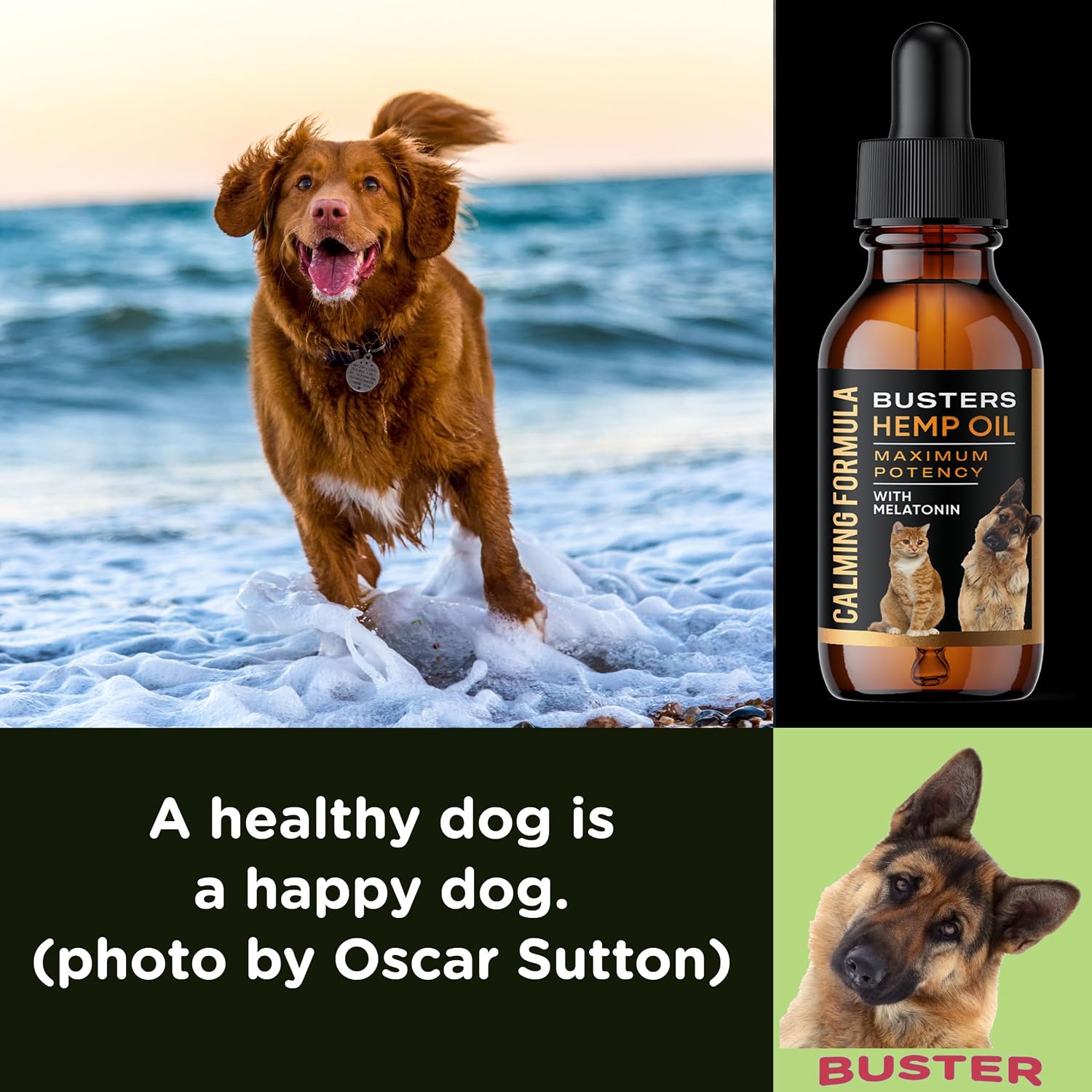 Buster's Cold Pressed Hemp Seed Oil for Dogs and Cats - Melatonin Calming Drops - 2-Pack Natural Pet Hemp Oil - Sleep Support Supplement - görsel 7