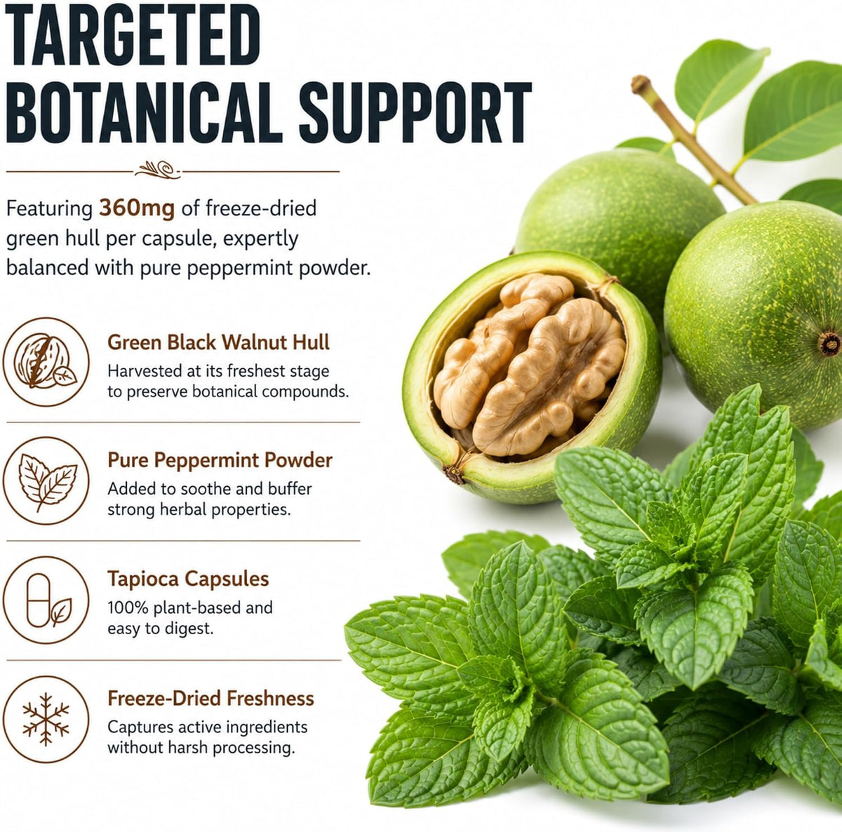 Dr Clark Store Green Black Walnut Blend 360mg with Peppermint, 60 Tapioca Capsules - görsel 3