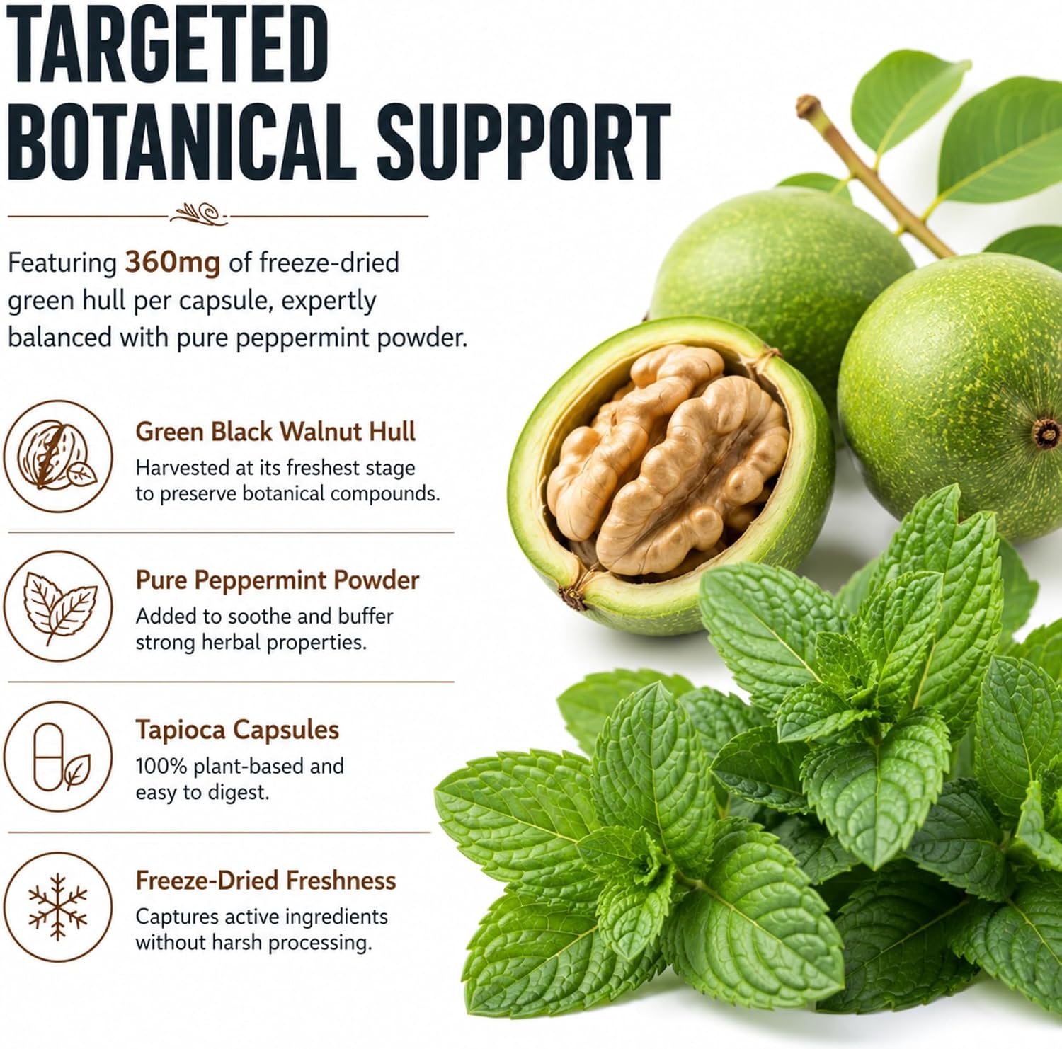 Dr Clark Store Green Black Walnut Blend 360mg with Peppermint, 60 Tapioca Capsules - görsel 3