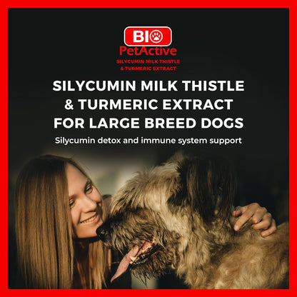 Bio PetActive Silycumin Milk Thistle & Turmeric Supplement for Dogs - Advanced Liver & Kidney Support with 80% Silymarin and Curcumin - Detoxification & Antioxidant Formula - 45 Chewable Tablets