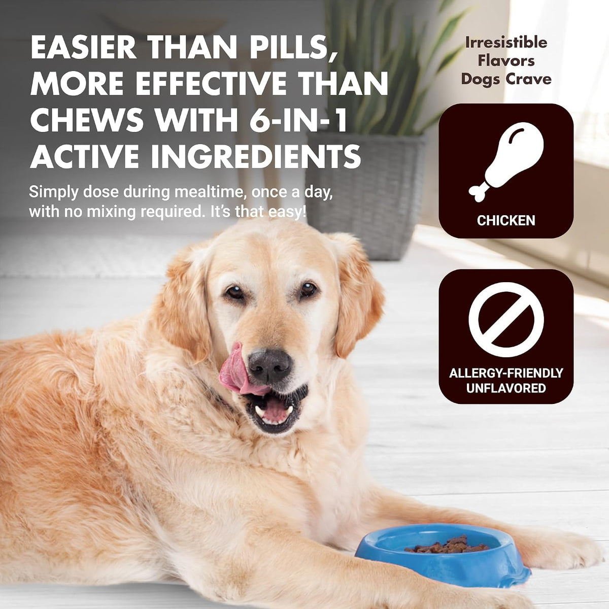 Liquid-Vet Immune Support for Dogs – Antioxidant Protection & Gut Health – Inulin, Beta-Glucan & Omega-3s / Fish Oil & More – Made for Picky Eaters - görsel 5
