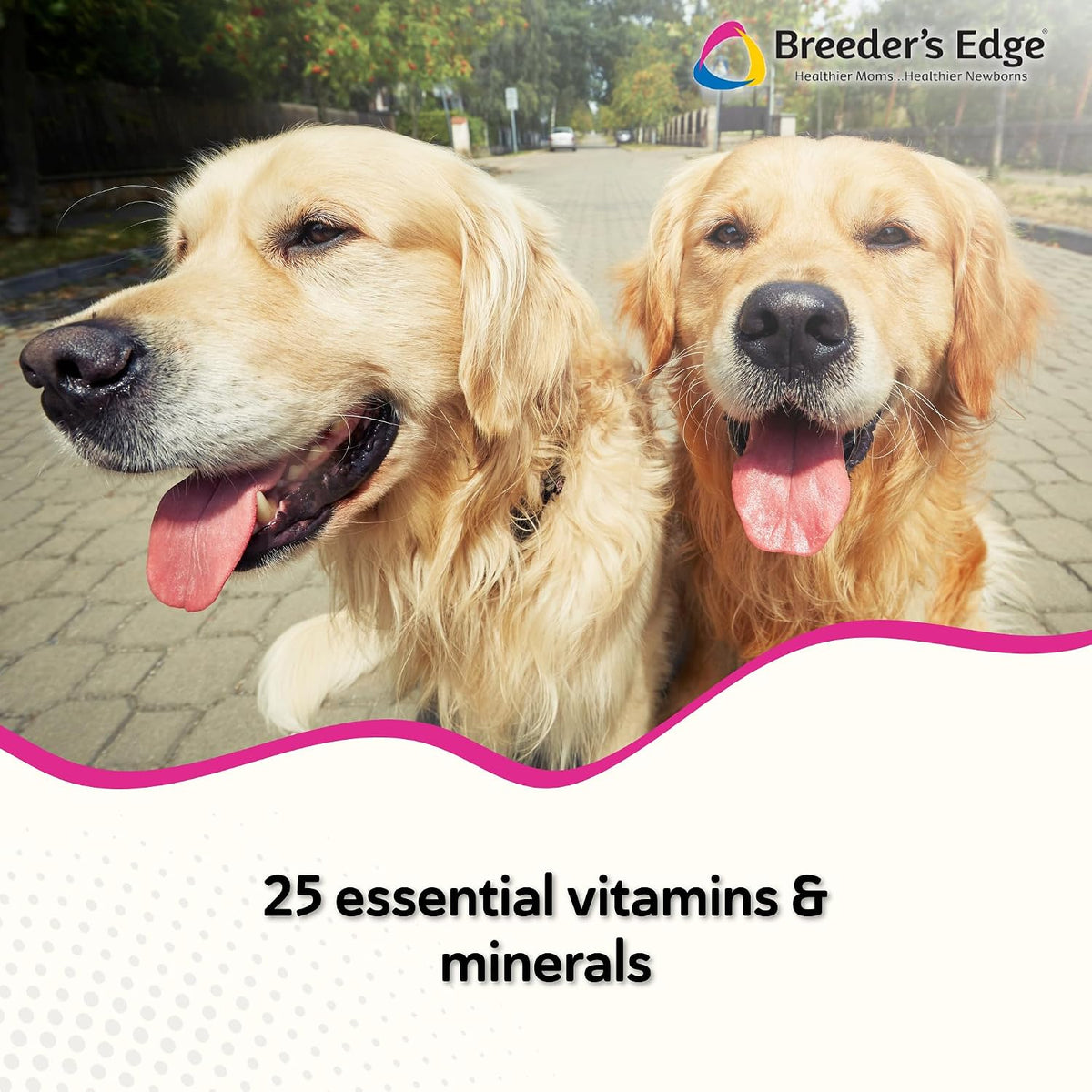 Breeder’s Edge Breed to Wean, Prenatal and Postnatal Multivitamin for Dogs & Cats, 100ct – Image 2