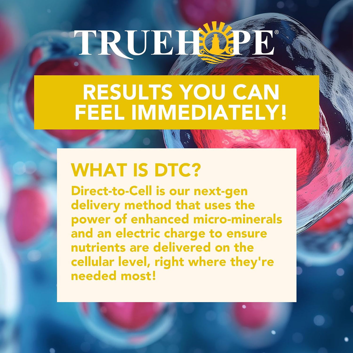 Truehope Multivitamin Nootropic Sachets with Inositol - EMPowerplus Ultimate Sticks, 30 Sachets (Banana Flavour) - görsel 6