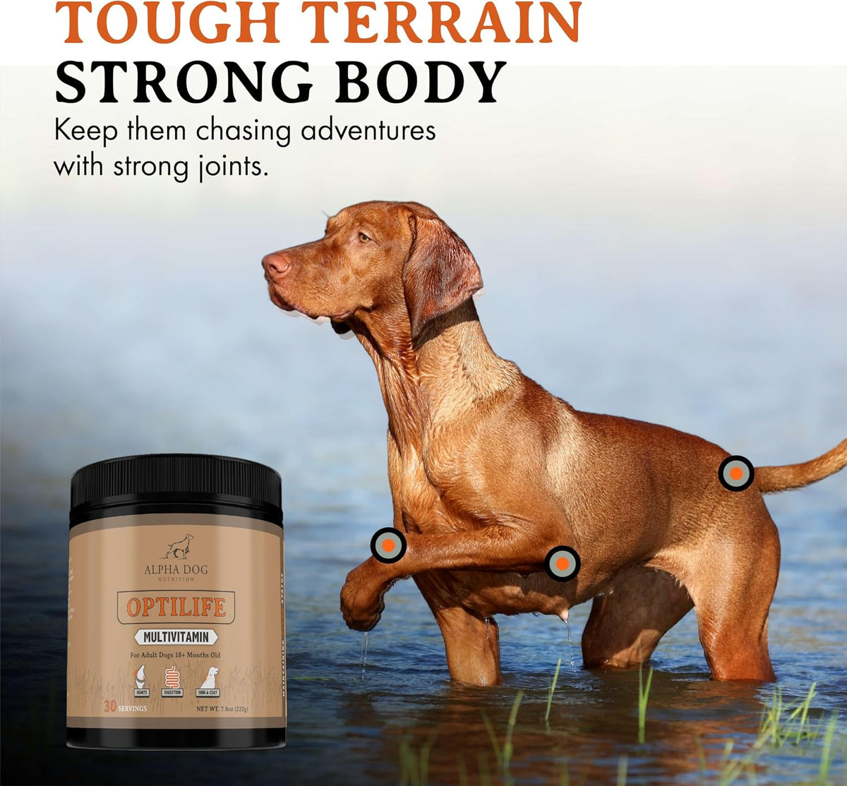 OptiLife Dog Multivitamin Powder - Adult Dog Multivitamin with Probiotics, Allergy Support, Joint Support, Skin & Coat Support - Dog Vitamins and Supplements (30 Servings) - görsel 3