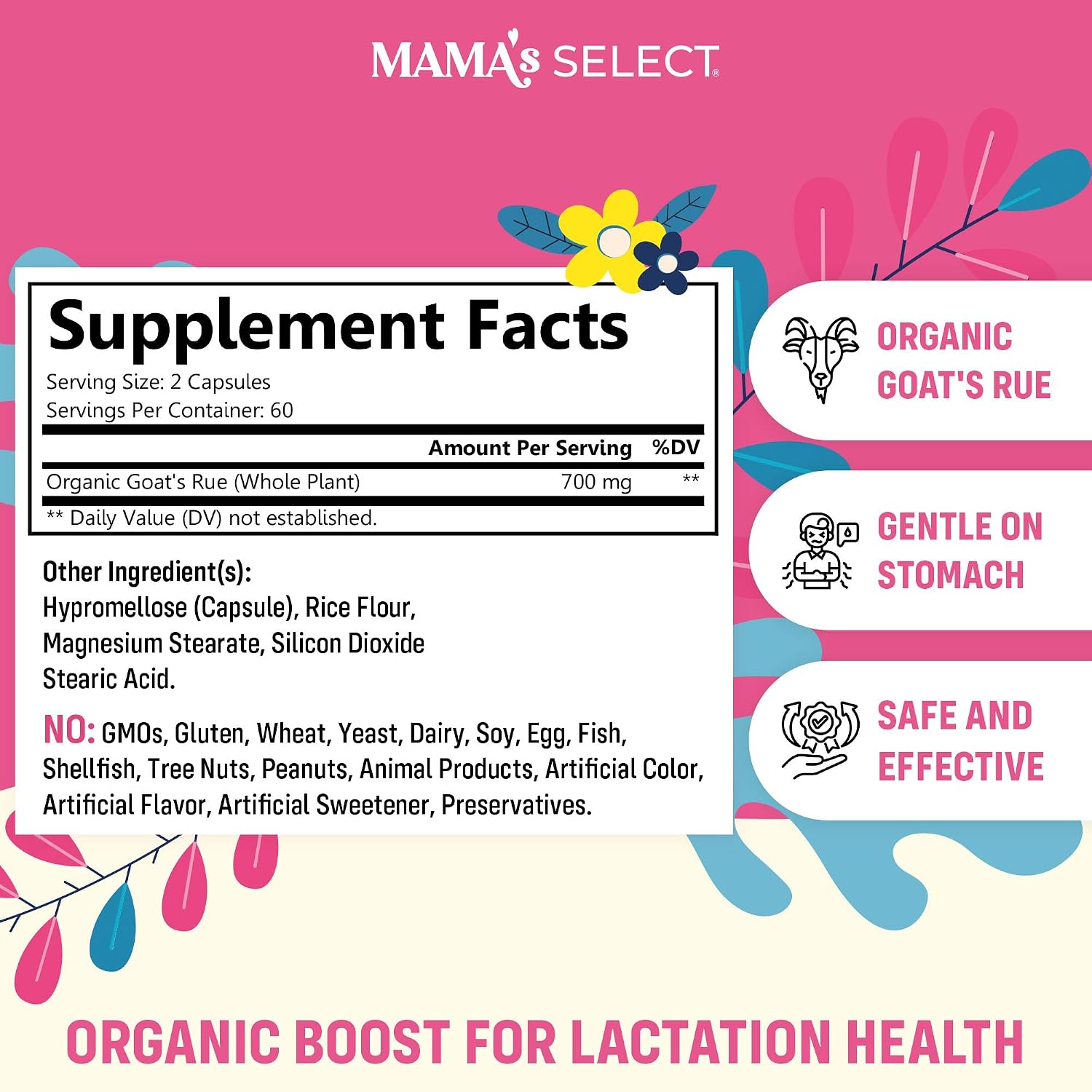 Mama's Select Organic Goat’s Rue Capsules for Breast Milk Production – Non-GM, Vegan, Gluten-Free Lactation Support - görsel 2