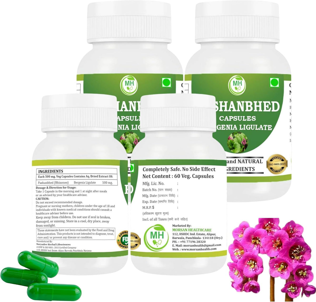 Pashanabheda (Bergenia ligulata) Powder Capsules - 500mg, 240 Vegetable Capsules - görsel 2