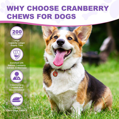 TTLXBL Cranberry Chews for Dogs – 200 Chews for Urinary Health Support