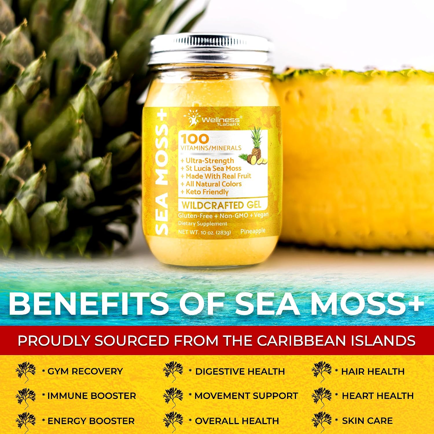 WELLNESS LABSRX Irish Sea Moss Gel - Wildcrafted Superfood Pineapple Flavour - 283g - görsel 6