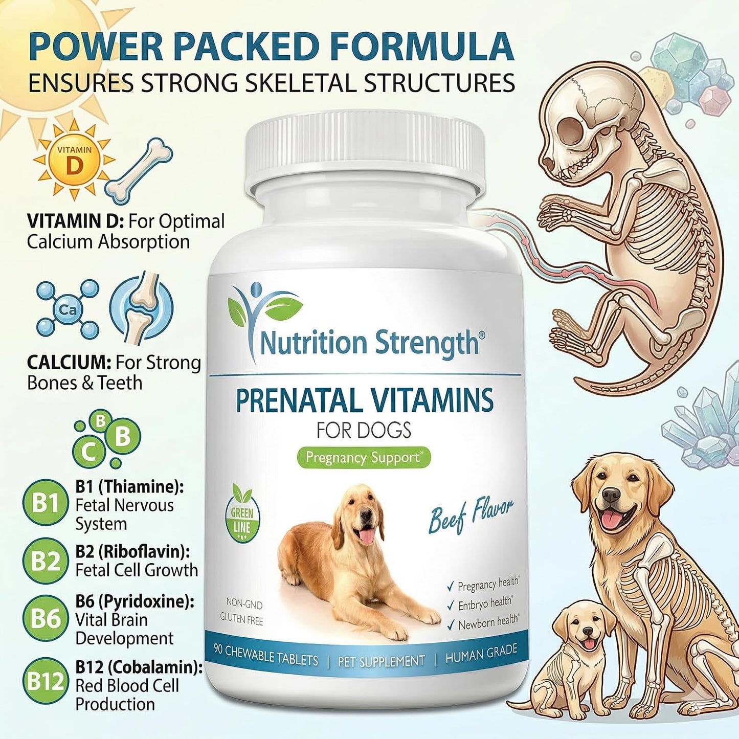 Prenatal Vitamins for Dogs – 90 Chewable Tablets | Nutrition Strength - görsel 3