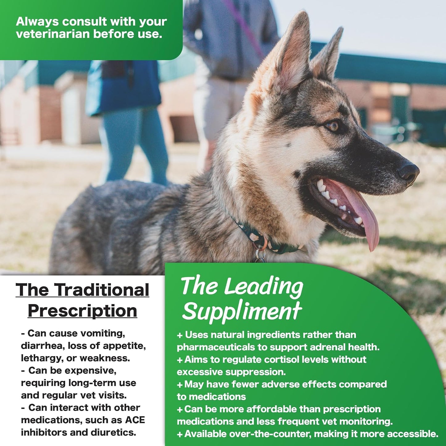 CushAway Cushing's Disease All-Natural Nutritional Supplement for Dogs - görsel 7