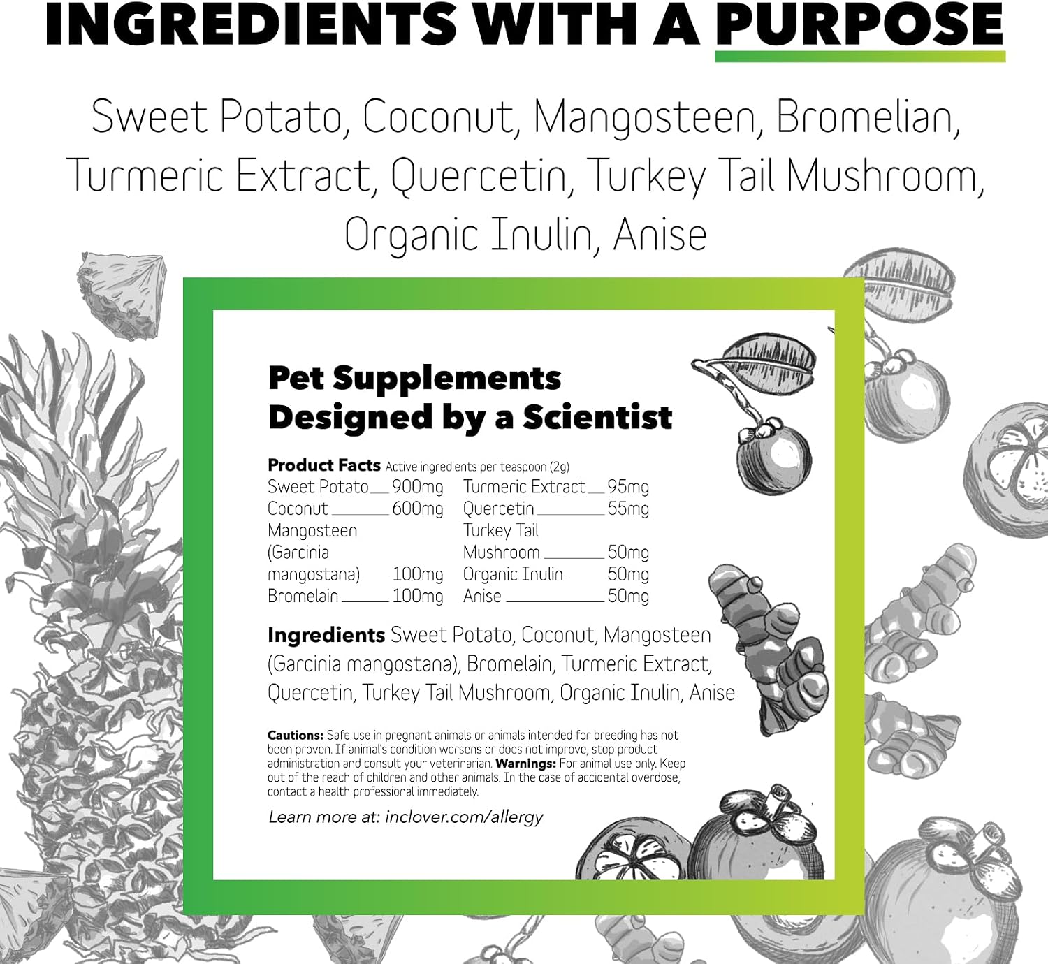 InClover Natural Dog and Cat Allergy Relief Supplement - görsel 3