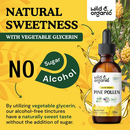 Wild & Organic Pine Pollen Tincture - Pine Pollen Extract Drops for Men & Women - Add to Tea & Drink - Pure Pinus Sylvestris Extract - Vegan, Sugar & Alcohol-Free Liquid Supplement - 2 fl oz (60 ml)