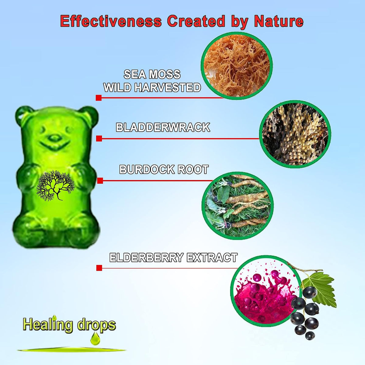HEALING DROPS Irish Sea Moss Gummies – Organic Wildcrafted Sun-Dried Sea Moss with Bladderwrack & Burdock Root (Elderberry-Mix) - görsel 3