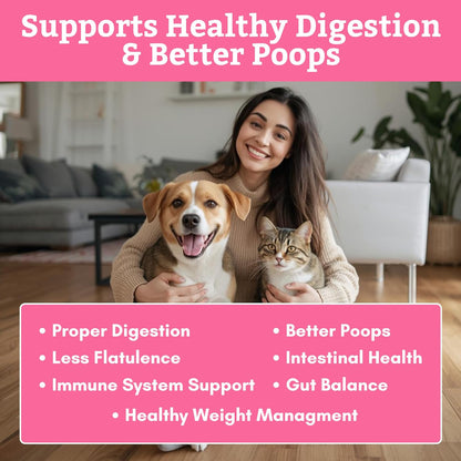 Wholistic Pet Organics Daily Probiotics for Dogs & Cats - Digestive Health Support with Prebiotics & Enzymes - 113 g Powder