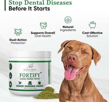 Alpha Dog Teeth Cleaning Powder - Natural Dental Powder for Dogs with Kelp and Probiotics