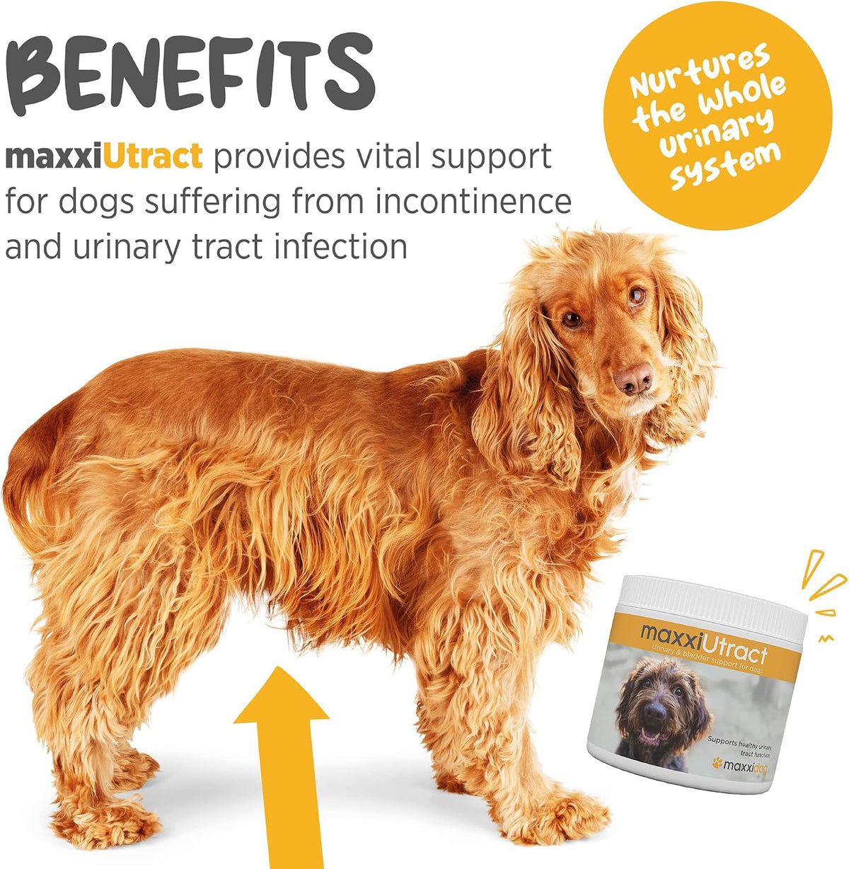 maxxiUtract Urinary and Bladder Support for Dogs – D-Mannose and Cranberry Powder - görsel 2