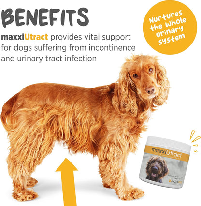 maxxiUtract Urinary and Bladder Support for Dogs – D-Mannose and Cranberry Powder