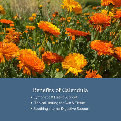 Eclectic Herb Freeze Dried Calendula Capsules - 90 Capsules, 250 mg