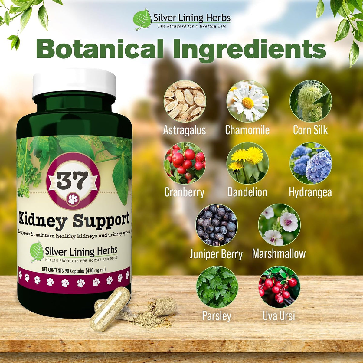 Kidney Support for Dogs – Natural Herbal Canine Kidney Cleanse & Bladder Support Supplement with Cranberry & Astragalus – 90 Capsules - görsel 3