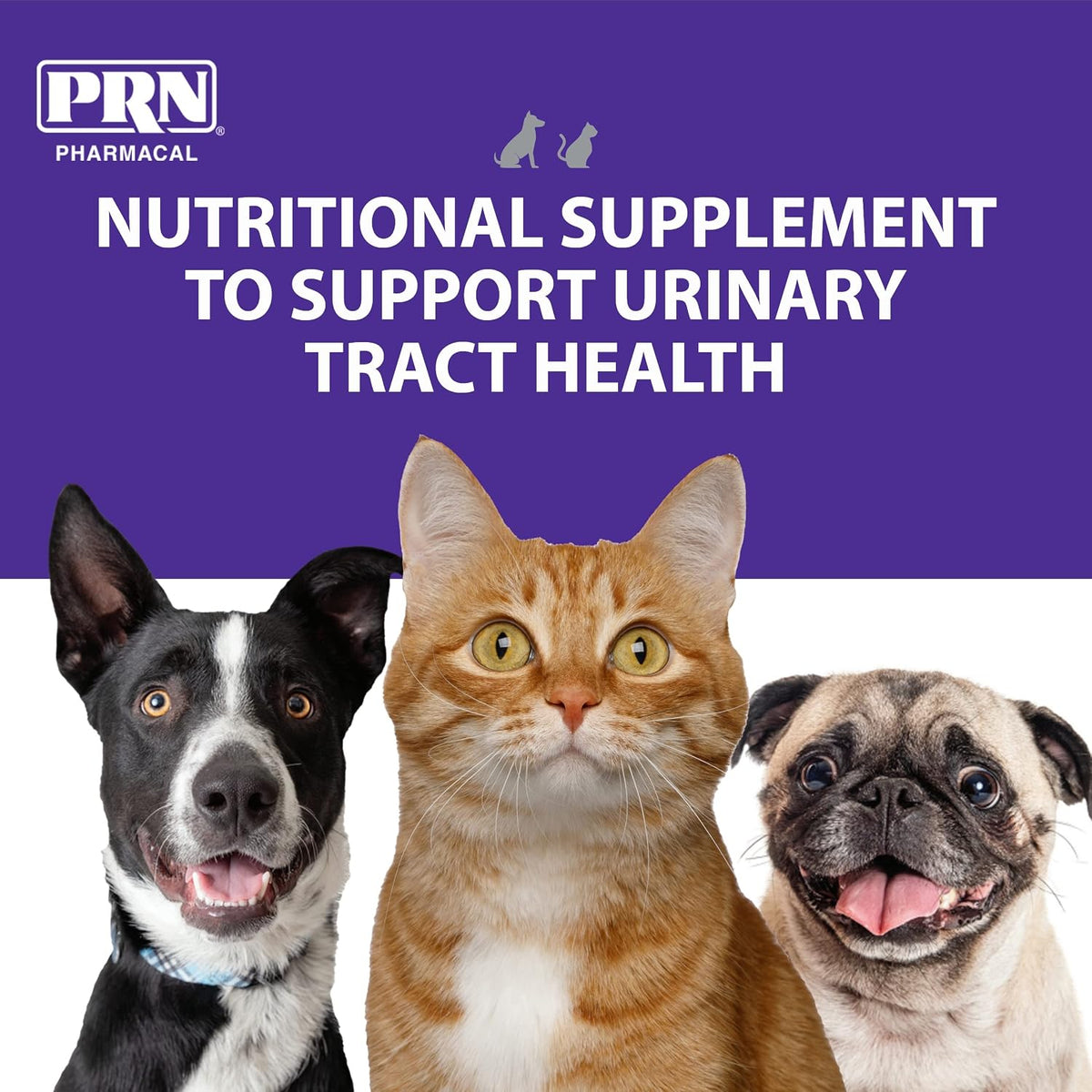 PRN Pharmacal CranMate Cranberry Supplement – Chewable for Dogs & Cats (60 Tablets) - görsel 3