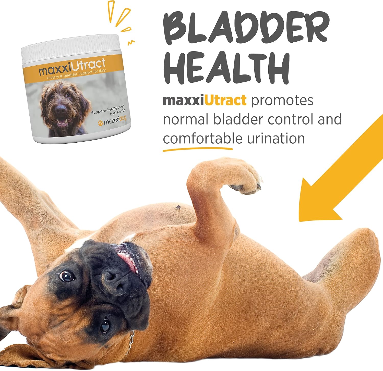 maxxiUtract Urinary and Bladder Support for Dogs – D-Mannose and Cranberry Powder - görsel 5