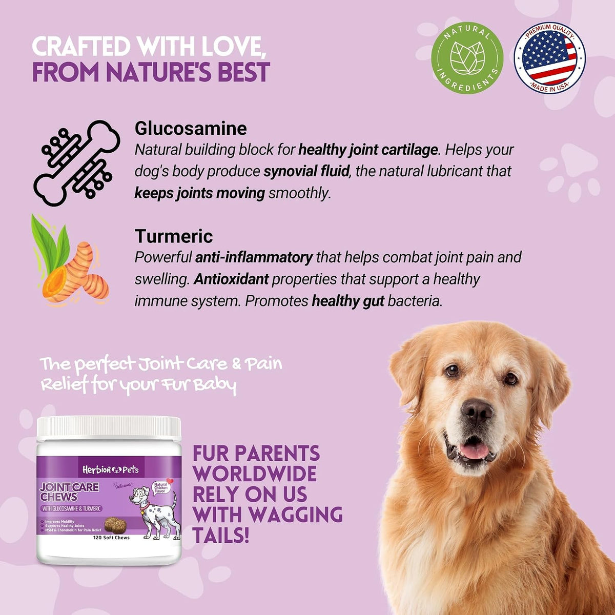 HERBION Pets Joint Care Chews with Glucosamine & Turmeric, 120 Soft Chews - görsel 2