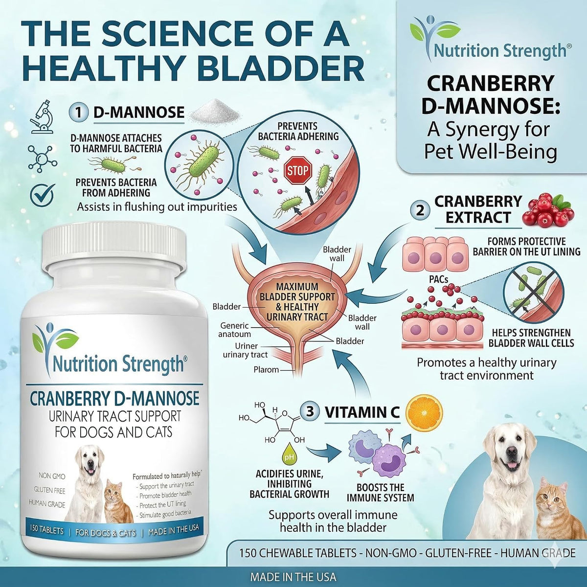 Nutrition Strength Cranberry D-Mannose for Dogs, Urinary Tract and Immune Support, 150 Chewable Tablets - görsel 2