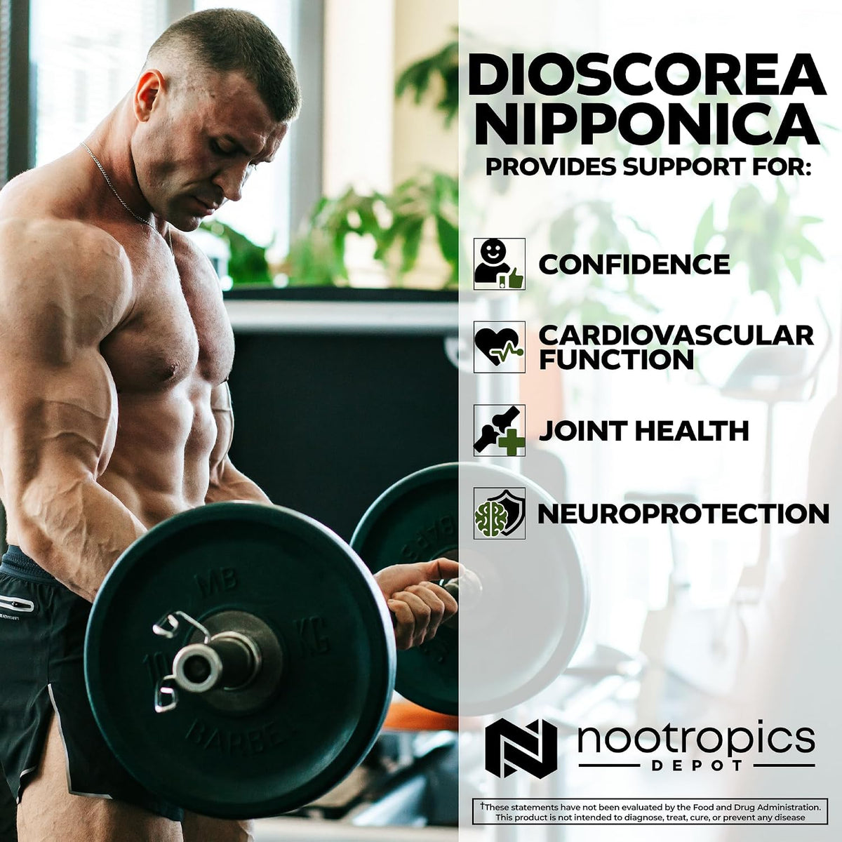Nootropics Depot Dioscorea nipponica Capsules | 400mg | 40% Protodioscin | Wild Yam | 60 Capsules - görsel 4