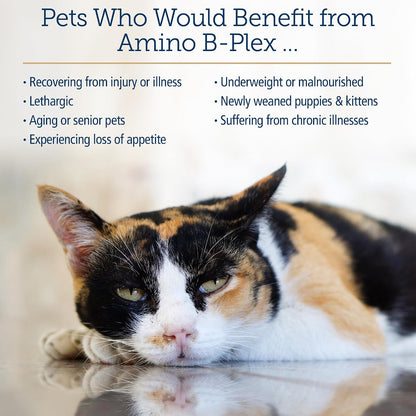 Rx Vitamins Amino B Plex Cat and Dog Supplement - Vitamin B Complex Liquid Plus Amino Acids - Appetite Stimulant and Weight Support - 120 ml