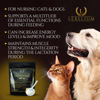 Lexelium Nursing Supplement for Dogs and Cats - Lactation and Recovery Support - 200g