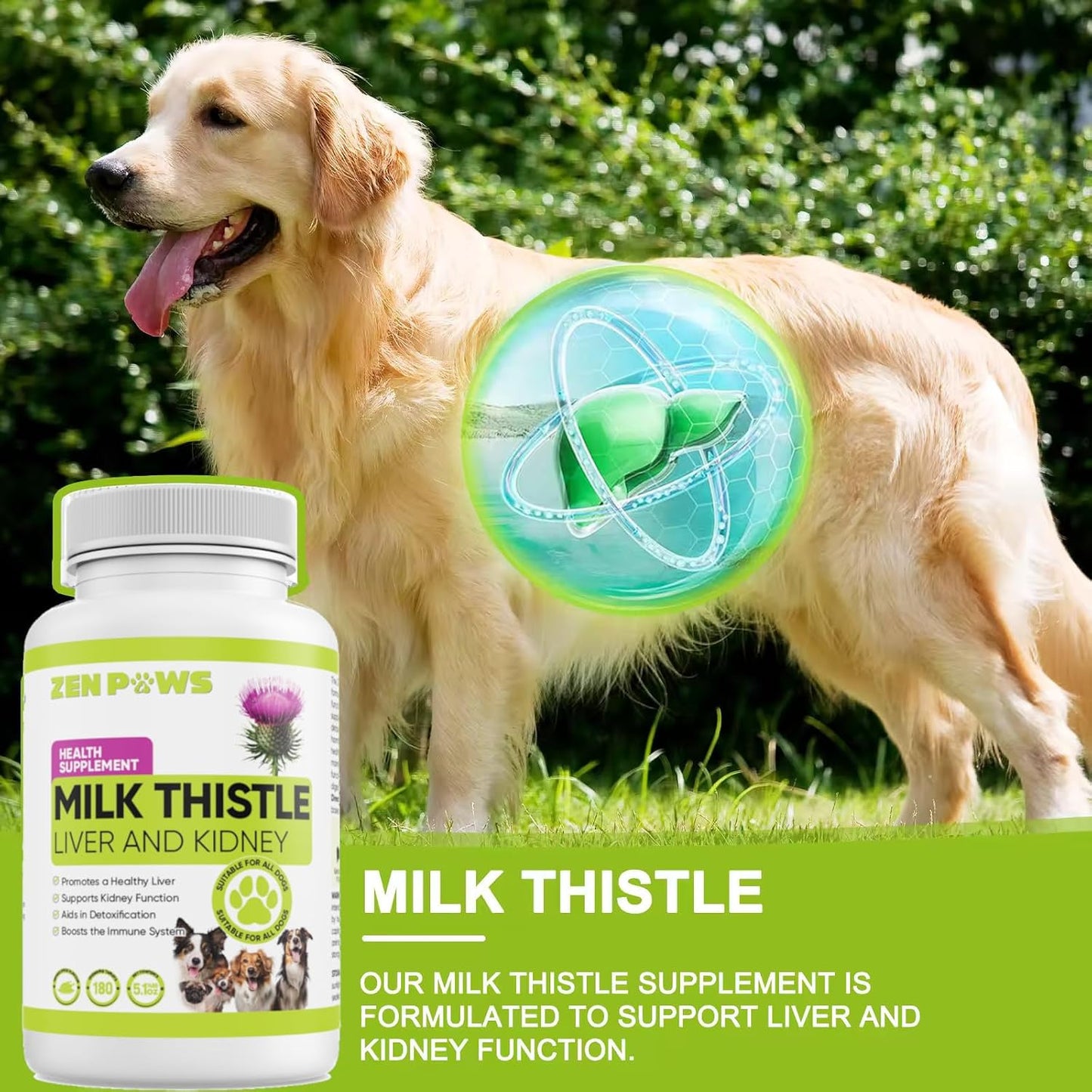 Zenpaws Milk Thistle for Dogs - 180 Chewable Tablets - Canine Liver & Kidney Support - görsel 3