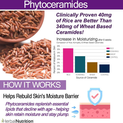 Phytoceramides Skin Hydration Support Supplement, 120 Capsules