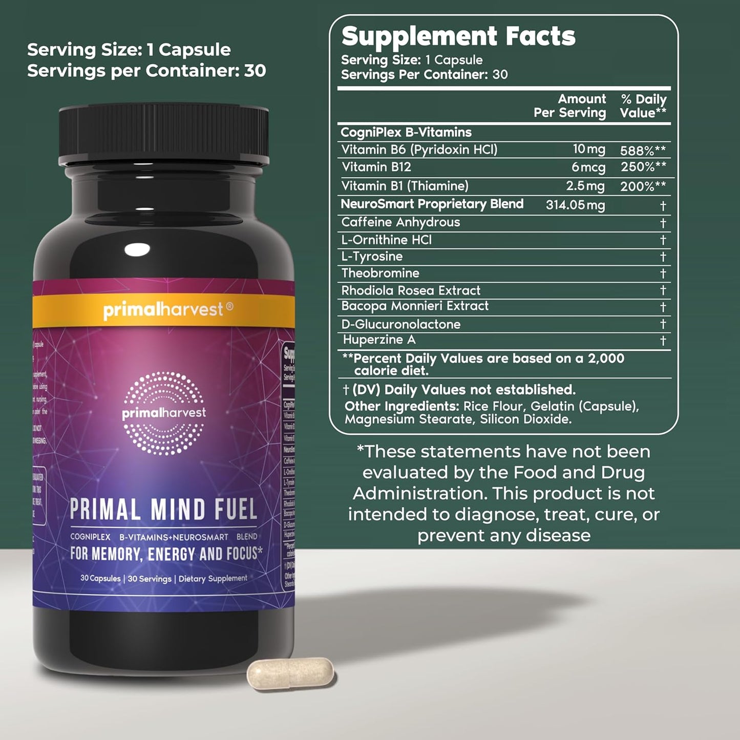 Primal Mind Fuel Brain Supplement – Nootropic for Focus, Energy and Memory (2 Pack) - görsel 2