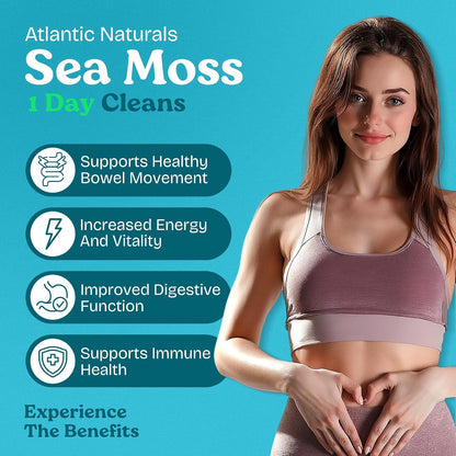 Atlantic Naturals 1 Day Colon Cleanse Detox Drink – Sea Moss Supplement, Gut Health, Lemon Flavour, 237 ml