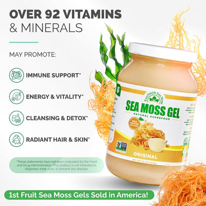 Wildcrafted Irish Sea Moss Gel - Unflavoured (454 g)