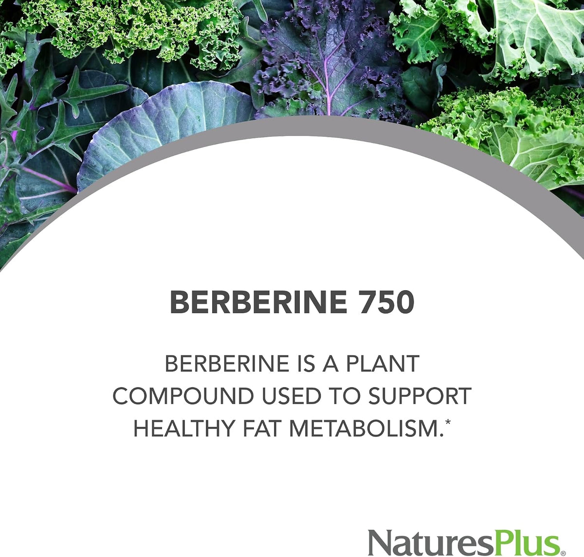 NaturesPlus PRO Berberine 750 mg - 60 Capsules – Supports Healthy Metabolism - görsel 4
