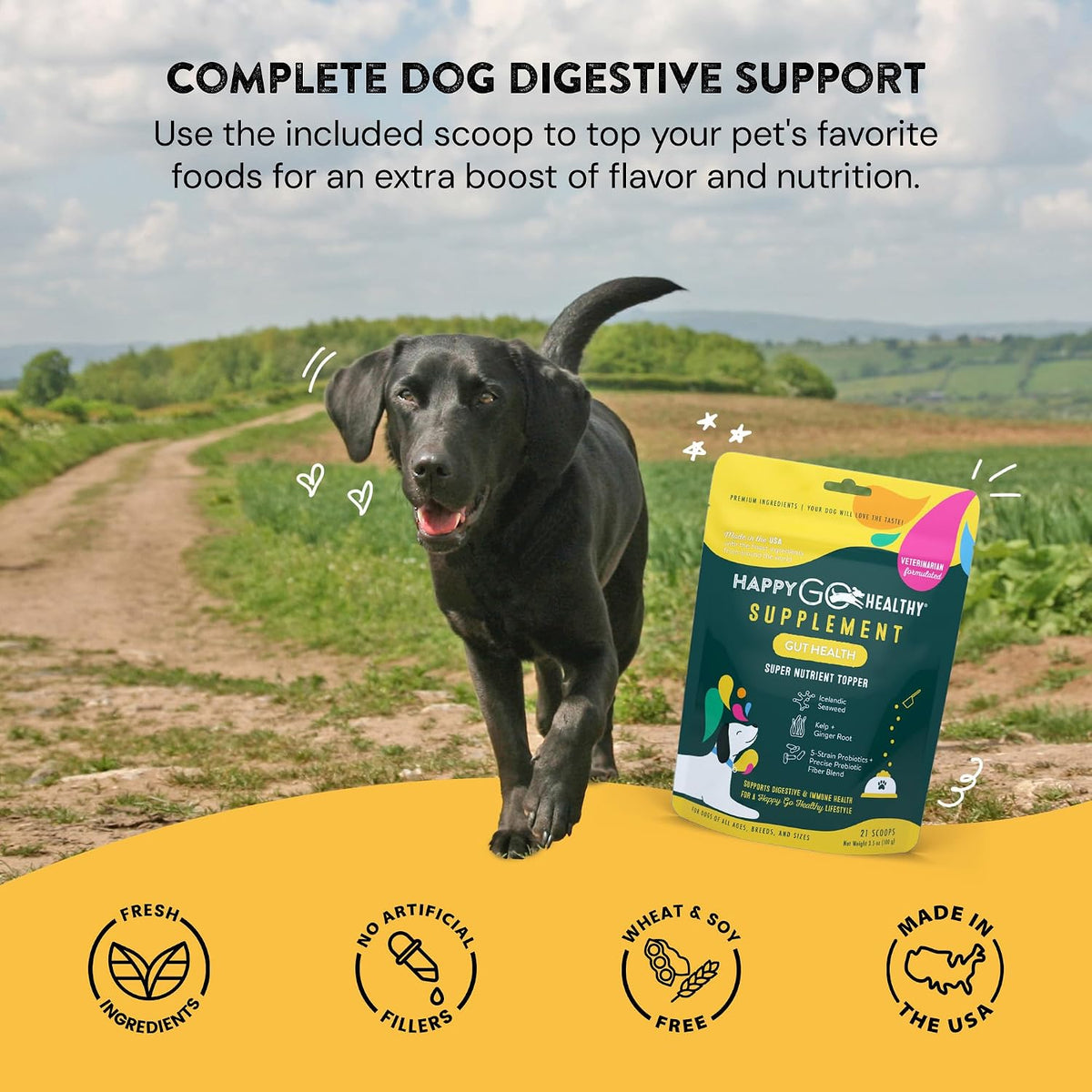 Happy Go Healthy Dog Gut Health Probiotics Supplement – Digestive Health and Immune Support for Dogs and Puppies – All Natural Kibble Topper – 21 Count - görsel 4