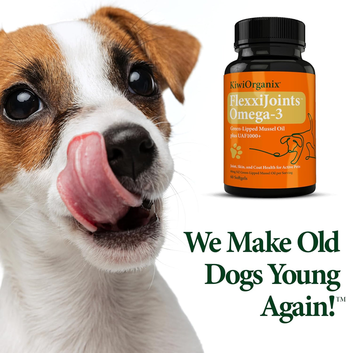 FlexxiJoints Omega-3 Hip and Joint Supplement – Green-Lipped Mussel Omega-3 Oil for Dogs – 100% New Zealand Green-Lipped Mussels (60 Softgels) - görsel 8