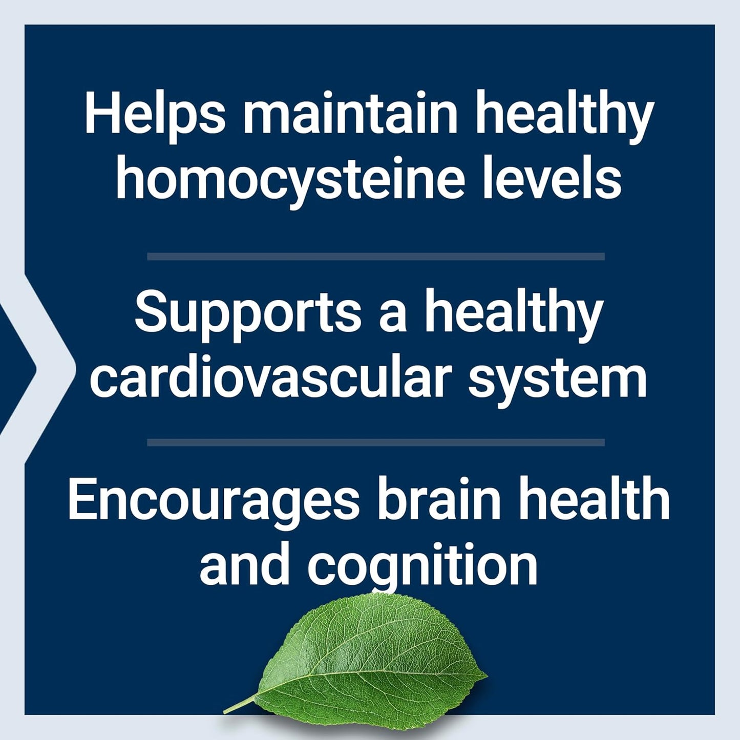 Life Extension Homocysteine Resist Vegetarian Capsules - 60 Count - görsel 4