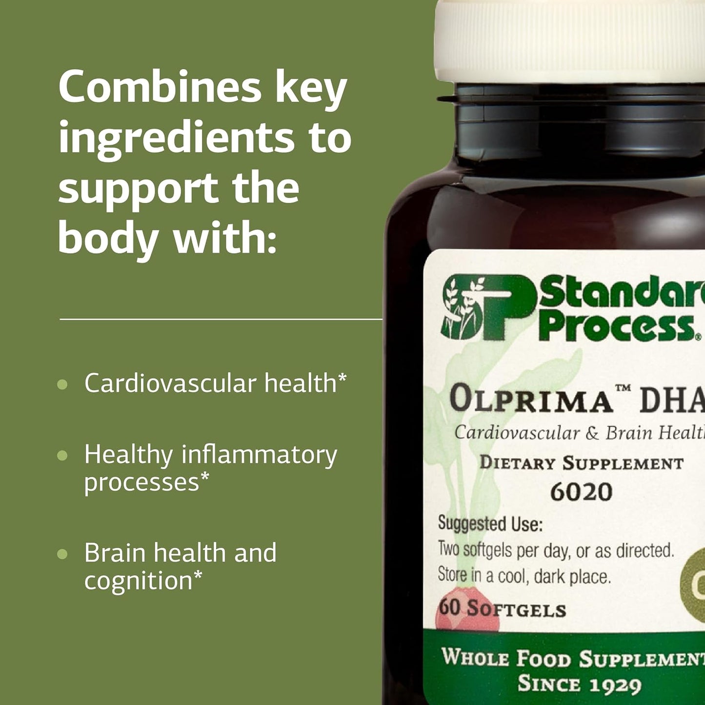 Standard Process Olprima DHA - Omega-3 DHA Food Supplement for Heart and Brain Health - görsel 4