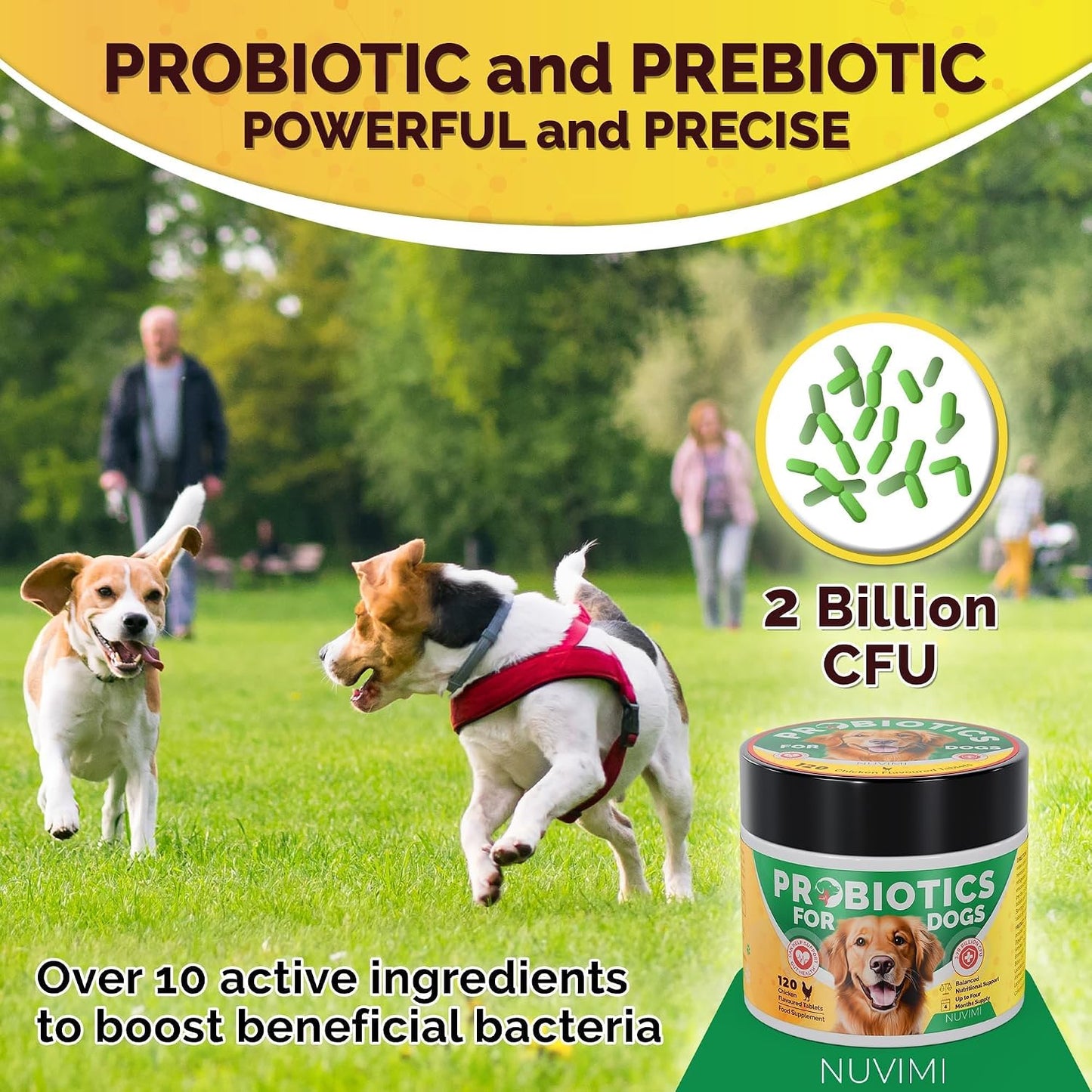 NUVIMI Probiotics for Dogs - 120 Chicken Flavour Tablets with Prebiotics - görsel 2