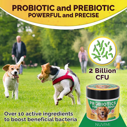NUVIMI Probiotics for Dogs - 120 Chicken Flavour Tablets with Prebiotics
