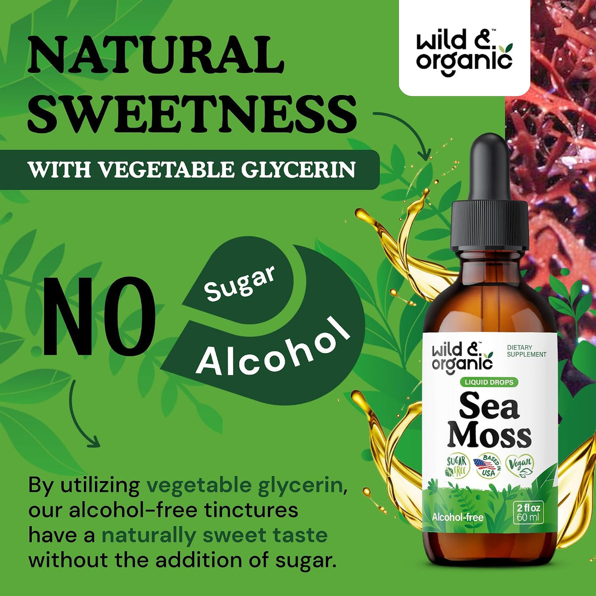 Wild & Organic Sea Moss Liquid Drops - Immune Support - Irish Sea Moss and Bladderwrack Tincture - Multimineral Chondrus Crispus Supplement - Vegan, Sugar & Alcohol-Free - 60 ml - görsel 6