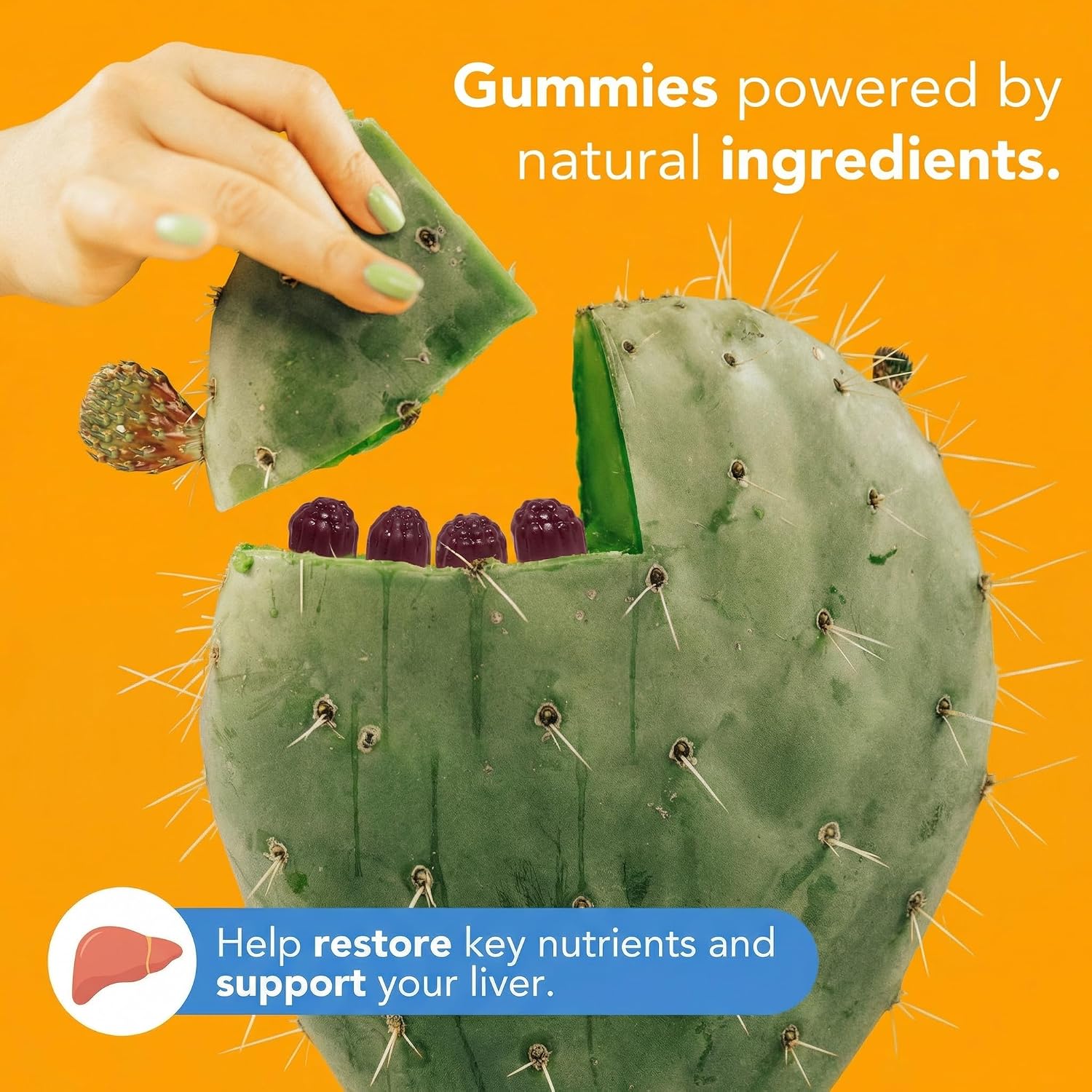 Toast! Before You Drink Gummies - Alcohol & Liver Support Food Supplement - Cherry - 10 Pack - görsel 2