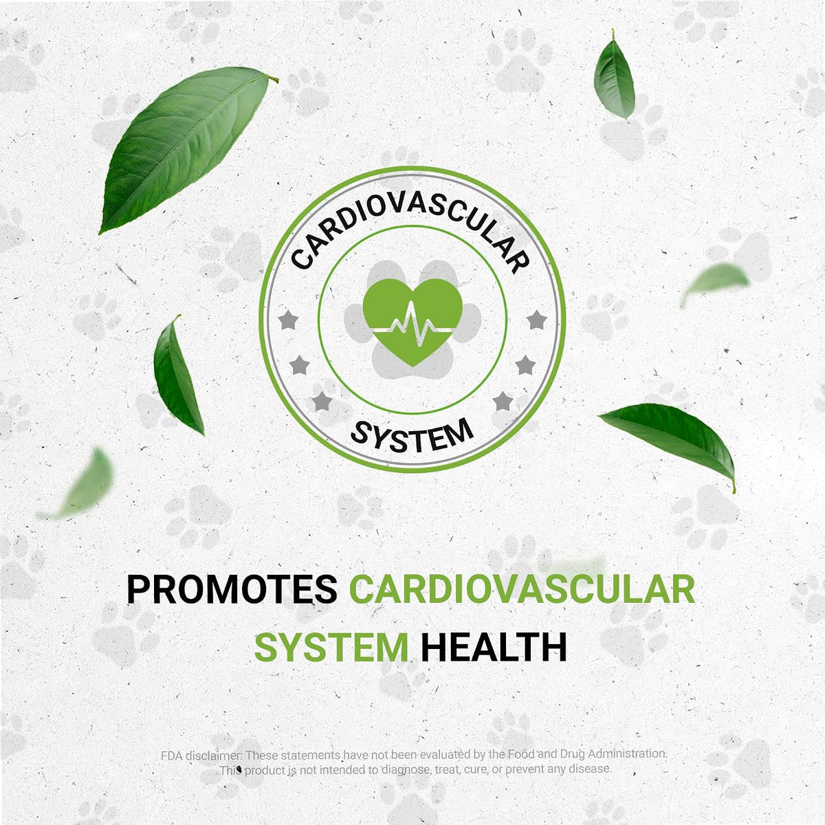 Wolf's Blood Pressure - Natural Herbal Supplement for Dogs (60 ml) - görsel 5