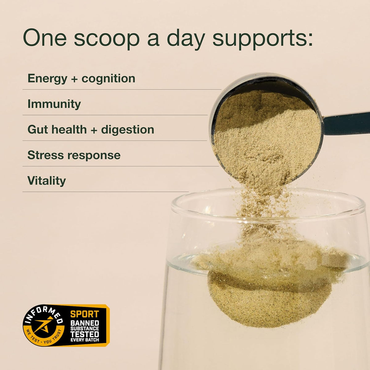 Nuzest Greens Powder Good Green Vitality – Vitamins, Minerals & Superfoods – Vegan Multivitamin Supplement (300g) - görsel 4
