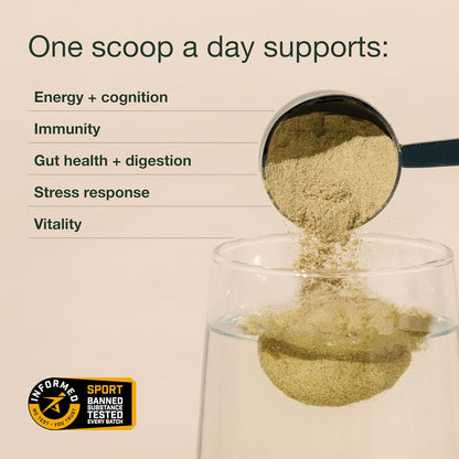 Nuzest Greens Powder Good Green Vitality – Vitamins, Minerals & Superfoods – Vegan Multivitamin Supplement (300g)
