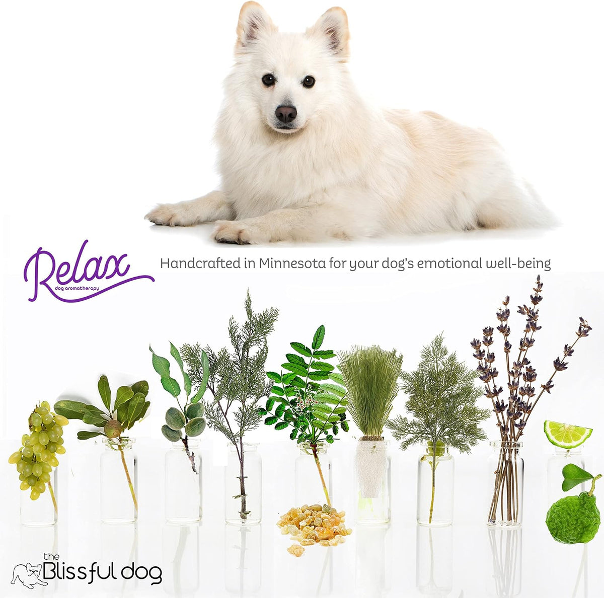 The Blissful Dog American Eskimo Relax Aromatherapy Spray for Dogs - görsel 5