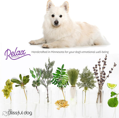 The Blissful Dog American Eskimo Relax Aromatherapy Spray for Dogs